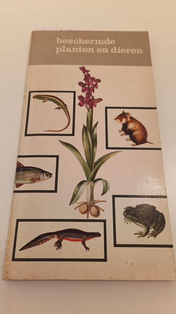 Beschermde planten en dieren | ing. H. J. W Schimmel Velp | 1974 | uitg.  Staatsuitgeverij Den Haag | ISBN 9012001218