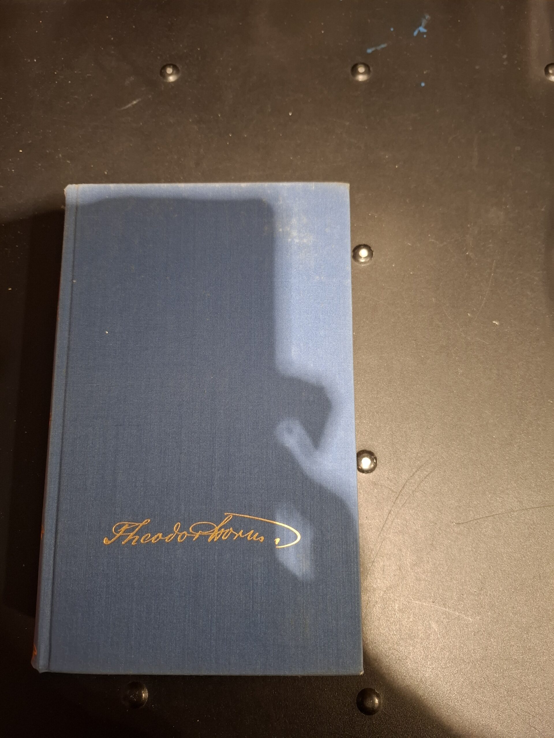 Theodor Storm | Franz Stuckert | 1955 | druk onbekend | Carl Schuneman Verlag Bremen | geen ISBN